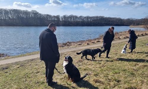 Hundeejere med hunde ved sø øver rolige gåture og kontakt