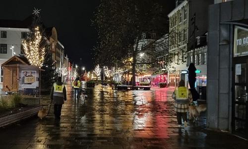 Hundeejere går med hunde på gågade i Horsens om aftenen med julelys