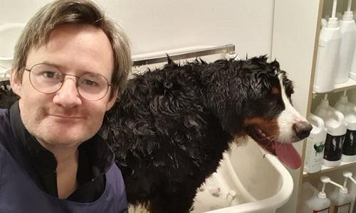 Hundefrisør Torsten bader berner sennen i hundesalon